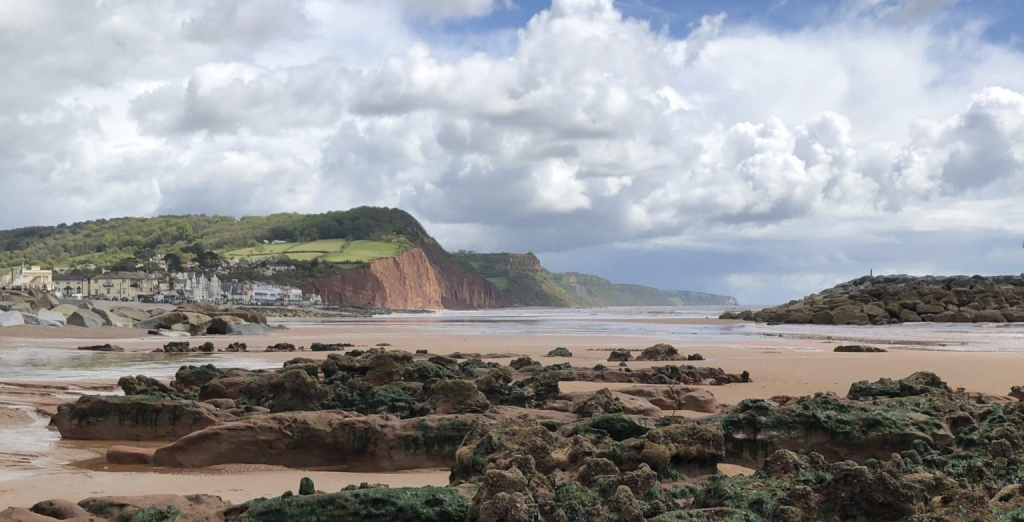 General practitioners as ‘eco-warriors’